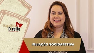 Explica Direito Filiação Socioafetiva  2019 [upl. by Loring]