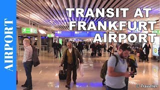 TRANSIT WALK AT FRANKFURT Airport FRA Terminal 1  Connection Flight Transfer Arriving amp Departing [upl. by Ingalls]